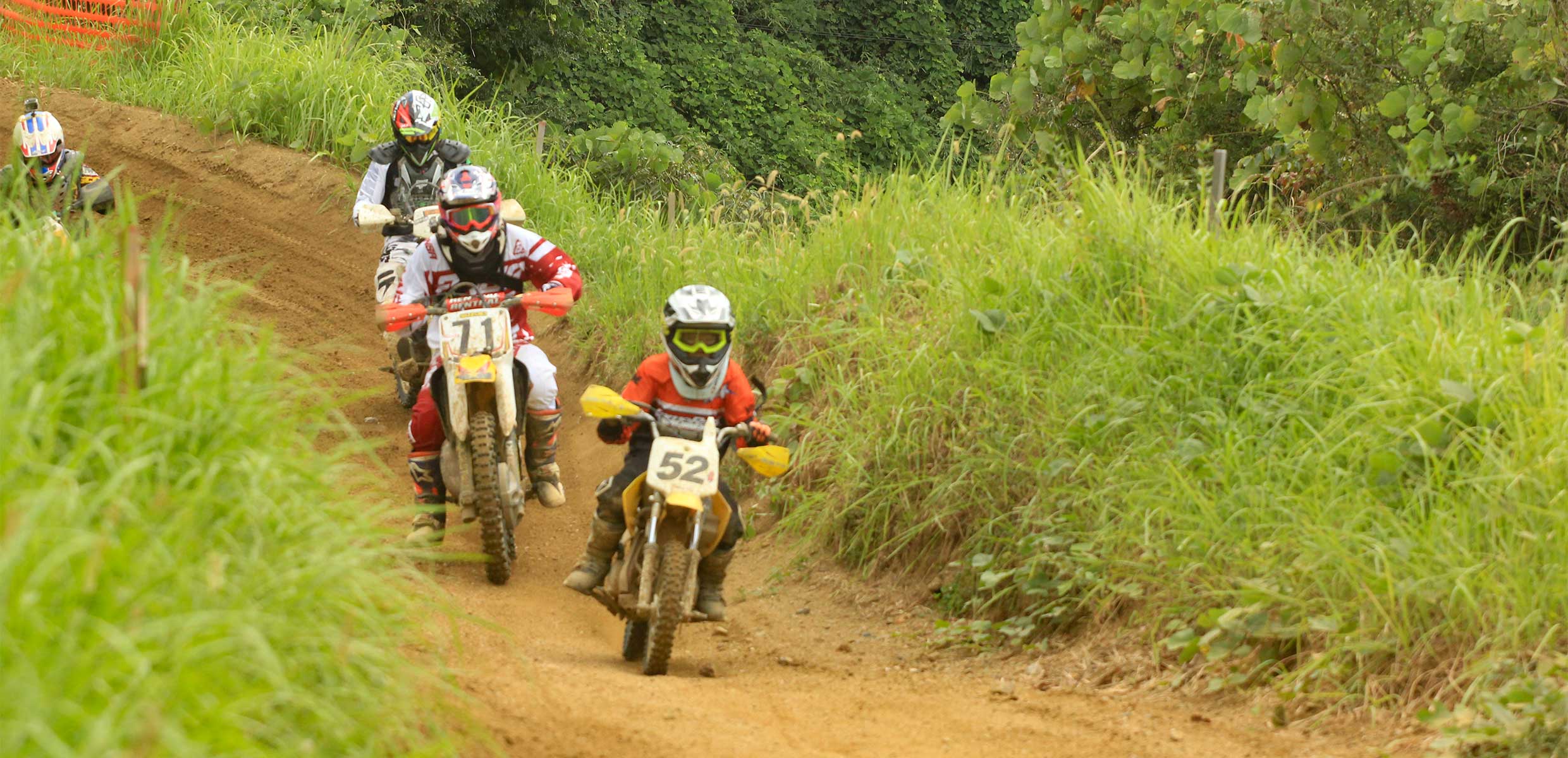 REGULATIONメイン画像