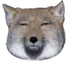 ���٥åȥ��ʥ��ĥ�